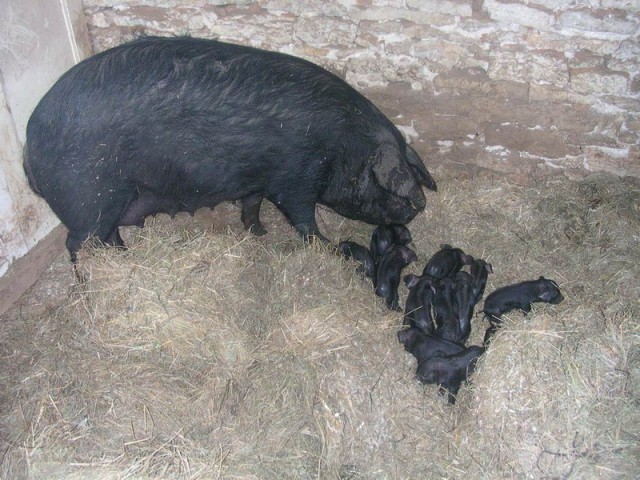 24-heures-apres-naissance